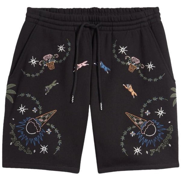 Starry Shorts