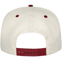 PAPER PLANES | SMALL WORLD COLORBLOCK SNAPBACK