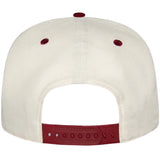PAPER PLANES | SMALL WORLD COLORBLOCK SNAPBACK