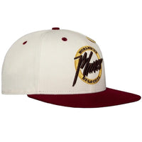 PAPER PLANES | SMALL WORLD COLORBLOCK SNAPBACK