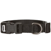 Dog Collar