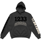 Dissmissed Goals 1233 Distressed Heavy Hoodie