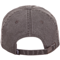 Hemlet Cap Dad Hat