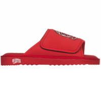 Astrowalkers Slides