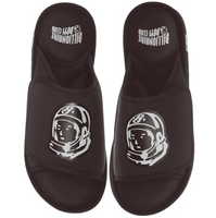 Astrowalkers Slides