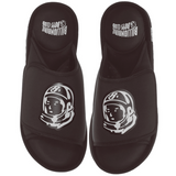 Astrowalkers Slides