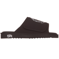 Astrowalkers Slides