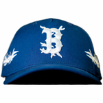 Boston's Thorns Hat