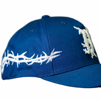 Boston's Thorns Hat