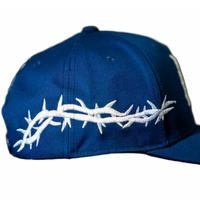 Boston's Thorns Hat
