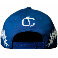 Boston's Thorns Hat