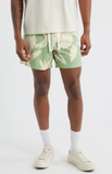 Virginia Shorts