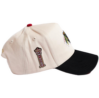 Bearhawks Hat