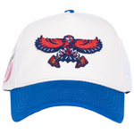 Bravehawks Hat