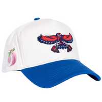 Bravehawks Hat