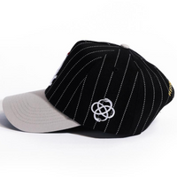 Bullsox Hat