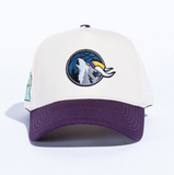 Timberkings Snapback Hat