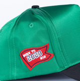 Celtox Crystals Snapback Hat