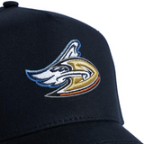 Dangels Snapback Hat Black