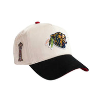 Bearhawks Snapback Hat